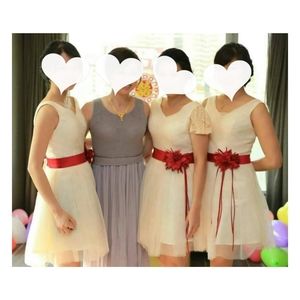 Bride's Maid/Prom Dress